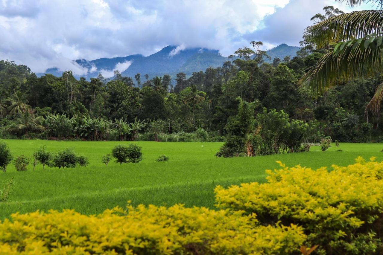Ella Nature Valley Homestay エクステリア 写真