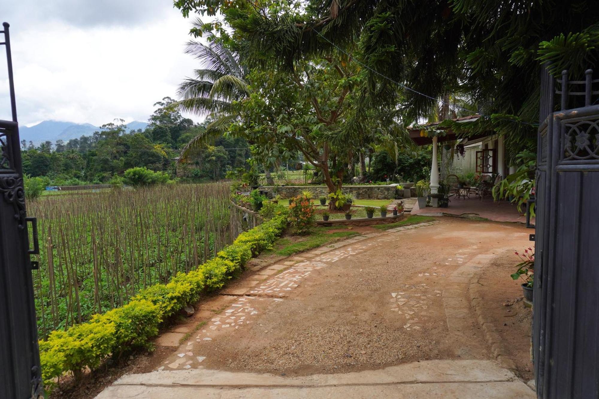 Ella Nature Valley Homestay エクステリア 写真