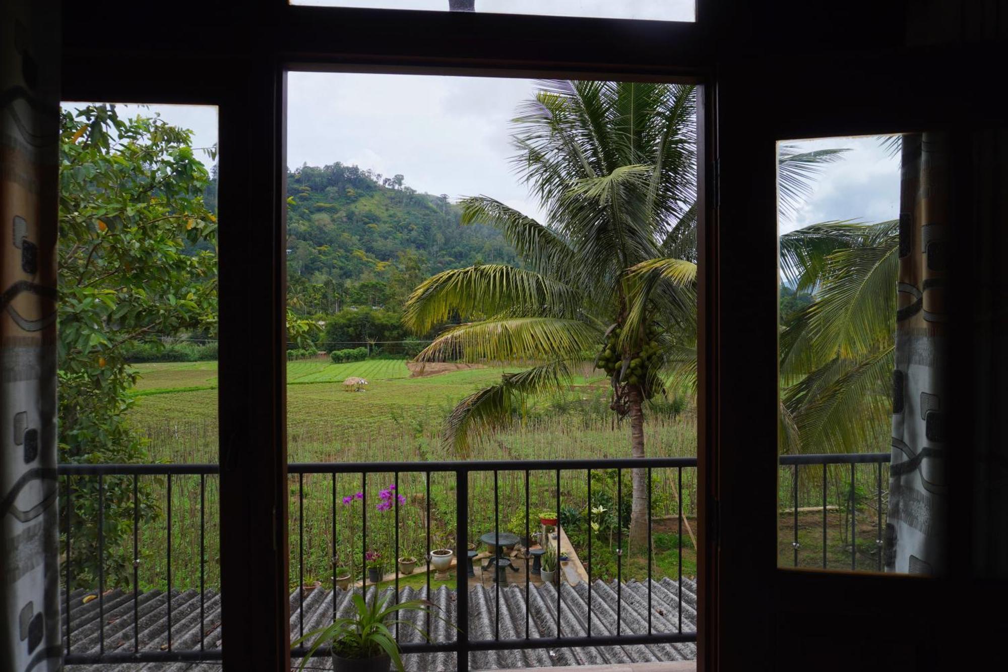 Ella Nature Valley Homestay エクステリア 写真
