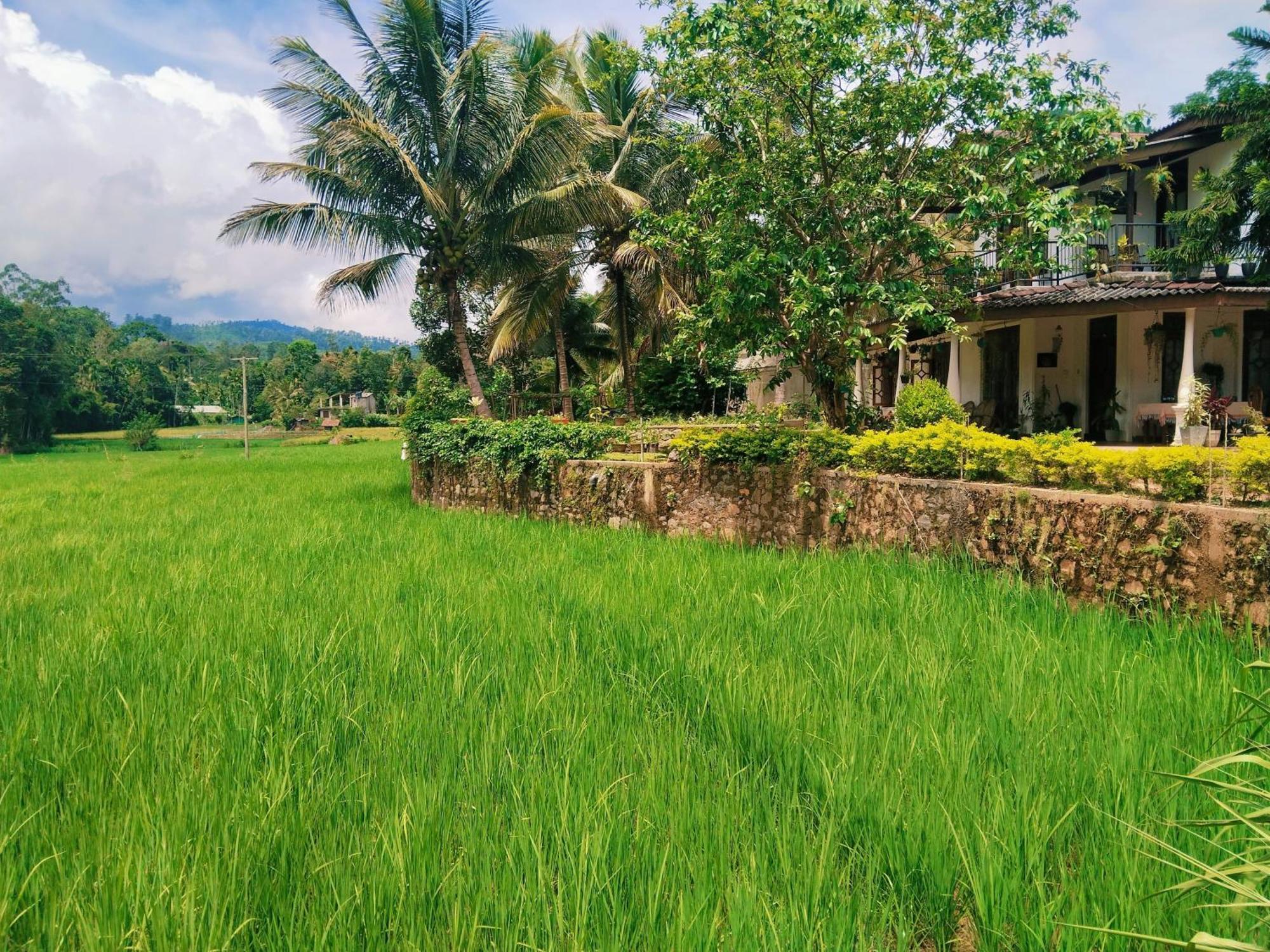 Ella Nature Valley Homestay エクステリア 写真