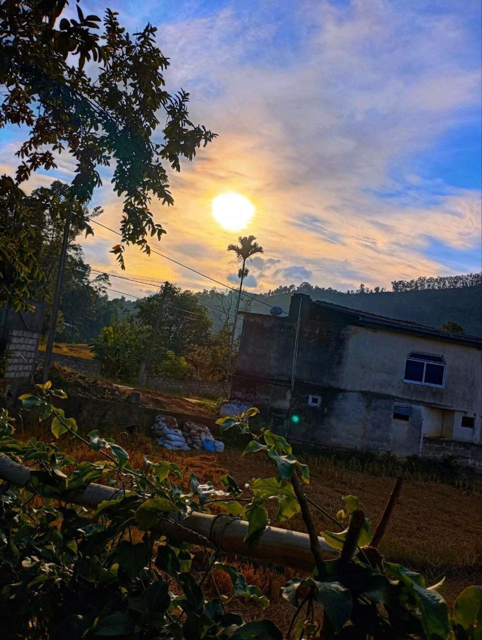Ella Nature Valley Homestay エクステリア 写真