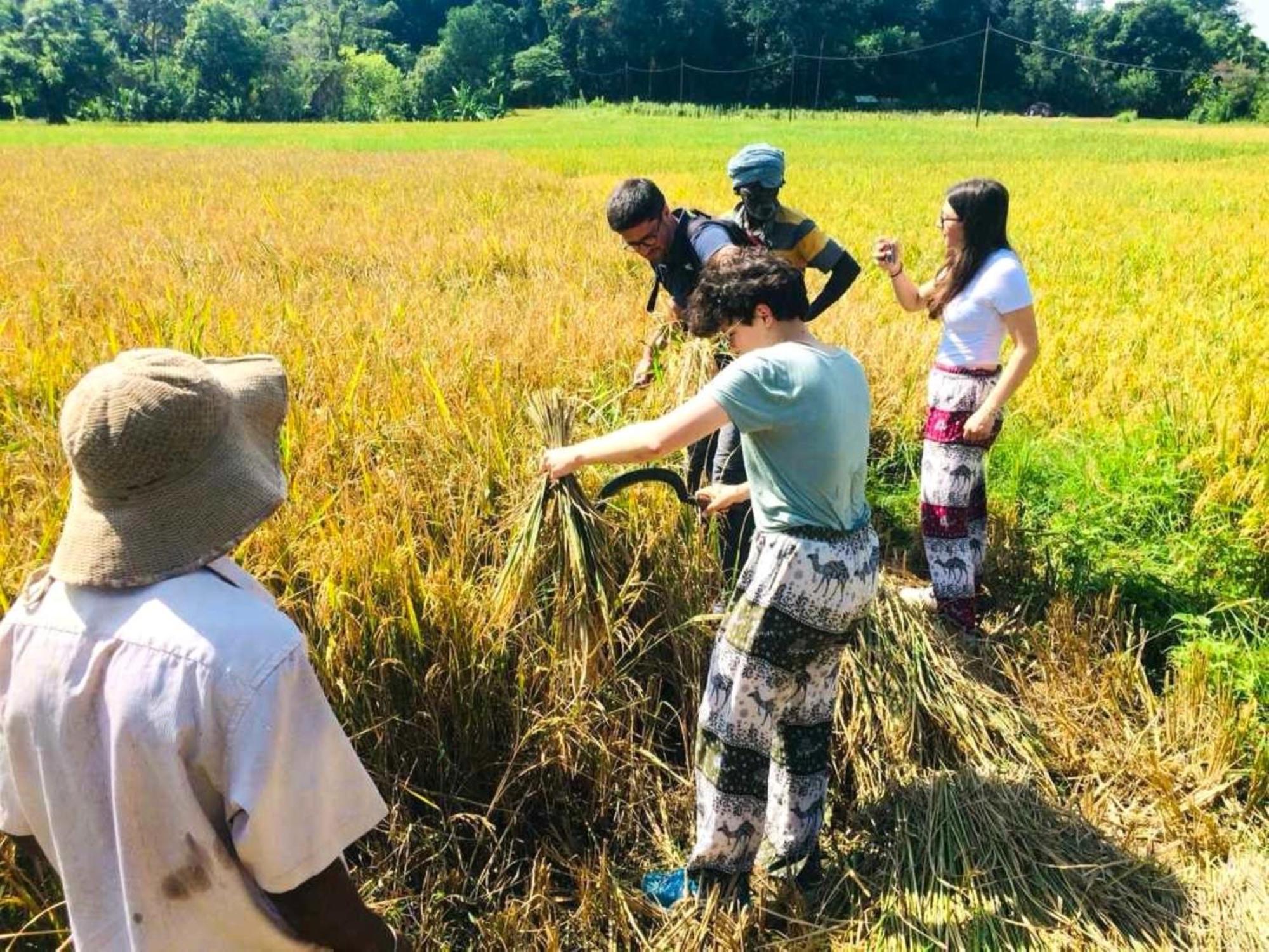 Ella Nature Valley Homestay エクステリア 写真