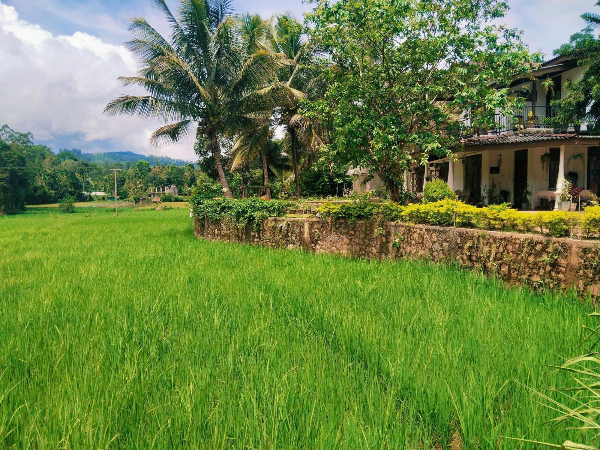 Ella Nature Valley Homestay エクステリア 写真